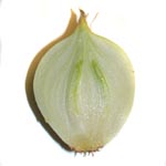<strong>Heilpflanze des Jahres 2015</strong><br> Gemüse-Zwiebel - Allum cepa