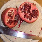 Punica granatum - Granatapfel