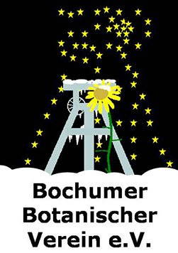 Logo des Bochumer Botanischen Vereins, Version für Weihnachten und Neujahr