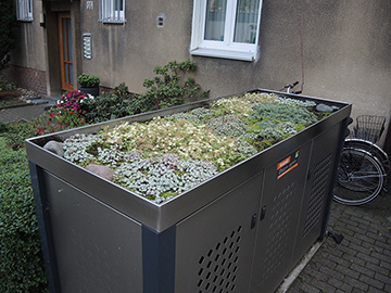 Und originelle "Dachbegrünungen" von Mülltonnen (© A. Jagel)