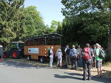 Exkursion Borkenberge 2019-06-30