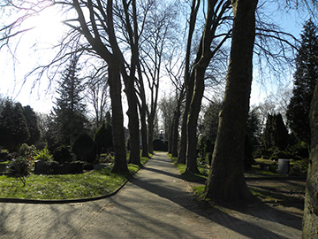 Exkursion 2024-03-03 Wattenscheid Friedhof