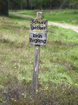 Exkursion 2024-04-28 Brachter Wald