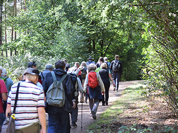 Exkursion 2025-08-30 Brachter Grenzwald