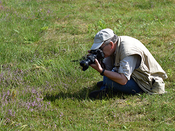 Exkursion 2025-08-30 Brachter Grenzwald
