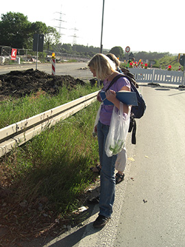 2010-07-18 A40 Stillleben