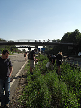 2010-07-18 A40 Stillleben
