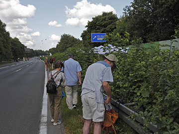 2010-07-18 A40 Stillleben
