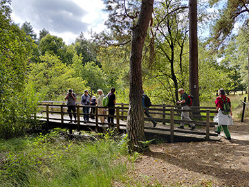 Exkursion 2025-08-30 Brachter Grenzwald