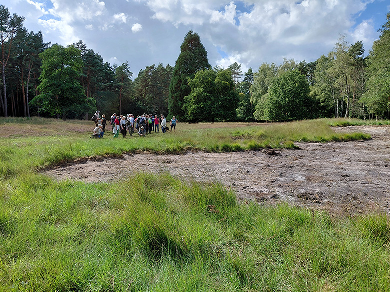 Exkursion 2025-08-30 Brachter Grenzwald