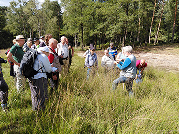 Exkursion 2025-08-30 Brachter Grenzwald