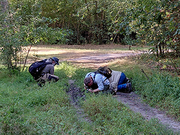 Exkursion 2025-08-30 Brachter Grenzwald