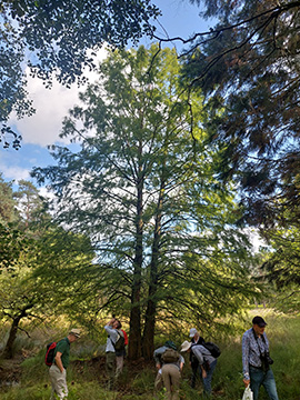 Exkursion 2025-08-30 Brachter Grenzwald