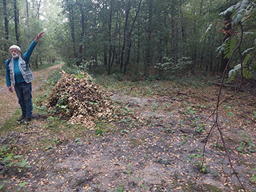 Exkursion 2025-08-30 Brachter Grenzwald