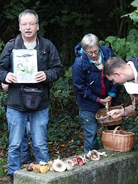 Exkursion 2025-10-12 Bochum-Langendreer, Herrensiepen Pilze