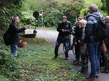Exkursion 2025-10-12 Bochum-Langendreer, Herrensiepen Pilze