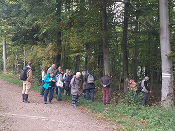 Exkursion 2025-10-12 Bochum-Langendreer, Herrensiepen Pilze