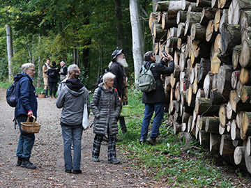 Exkursion 2025-10-12 Bochum-Langendreer, Herrensiepen Pilze