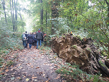 Exkursion 2025-10-12 Bochum-Langendreer, Herrensiepen Pilze