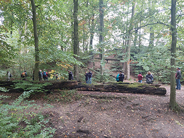 Exkursion 2025-10-12 Bochum-Langendreer, Herrensiepen Pilze