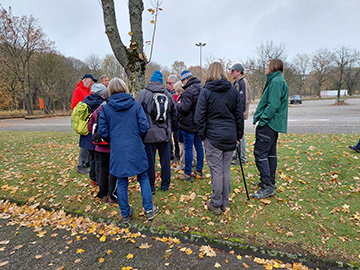 Exkursion 2025-11-09 BO-Querenburg Kryptogamen