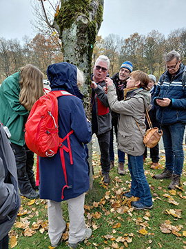 Exkursion 2025-11-09 BO-Querenburg Kryptogamen
