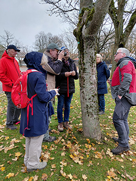 Exkursion 2025-11-09 BO-Querenburg Kryptogamen