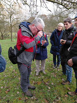 Exkursion 2025-11-09 BO-Querenburg Kryptogamen