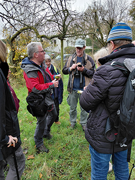Exkursion 2025-11-09 BO-Querenburg Kryptogamen