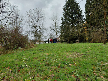 Exkursion 2025-11-09 BO-Querenburg Kryptogamen