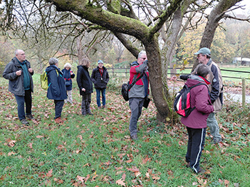 Exkursion 2025-11-09 BO-Querenburg Kryptogamen