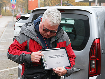 Exkursion 2025-11-09 BO-Querenburg Kryptogamen