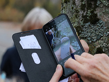 Exkursion 2025-11-09 BO-Querenburg Kryptogamen