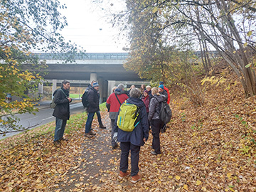 Exkursion 2025-11-09 BO-Querenburg Kryptogamen