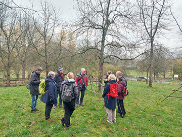 Exkursion 2025-11-09 BO-Querenburg Kryptogamen