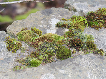 Exkursion 2026-02-28 Hattingen Isenburg