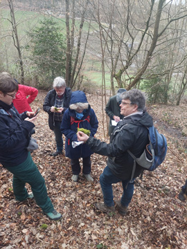 Exkursion 2026-02-28 Hattingen Isenberg