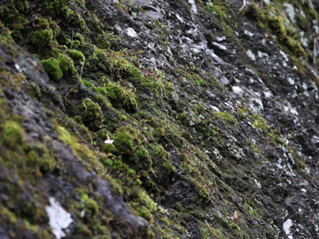 Exkursion 2026-02-28 Hattingen Isenberg