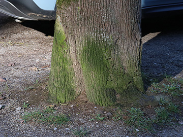 Exkursion 2026-02-28 Hattingen Isenburg