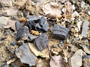 Exkursion 2026-04-11 Sprockhövel Steinkohlenbergbau