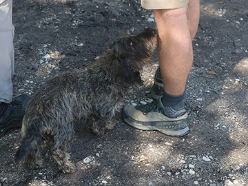 Exkursion 2026-05-30 Schloß Holte-Stukenbrock 