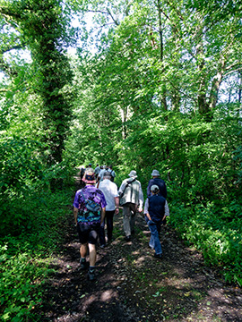 Exkursion 2026-05-30 Schloß Holte-Stukenbrock 