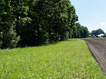 Exkursion 2026-05-30 Schloß Holte-Stukenbrock 
