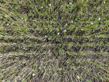 Exkursion 2026-05-30 Schloß Holte-Stukenbrock 