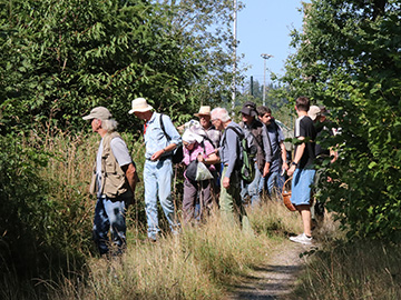 Exkursion 2026-07-05 Olpe Rubus