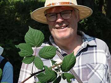 Rubus foliosus