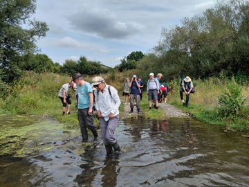 Exkursion 2026-08-16 Froendenberg Obergraben