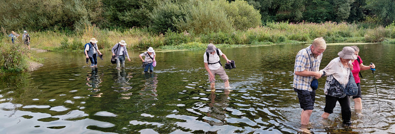 Exkursion 2026-08-16 Froendenberg Obergraben