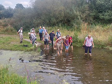 Exkursion 2026-08-16 Fröndenberg Obergraben