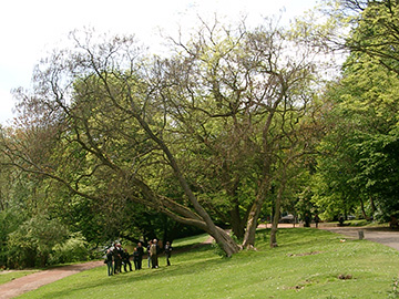 Exkursion 2010-05-16 Bochum Stadtpark